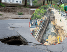 El brote repentino de este tipo de hoyancos representa un riesgo para la ciudadanía. EL INFORMADOR/ARCHIVO