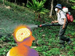 Entre los resultados, la académica encontró regiones cerebrales en donde se alteran las células dopaminérgicas. ESPECIAL / CANVA