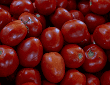 El Gobierno de México también indicó que intensificará los esfuerzos para conquistar nuevos mercados internacionales con base en la calidad del tomate mexicano. Unsplash