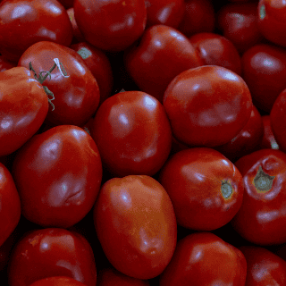 México rechaza la decisión de EU de reactivar la cuota 'injusta' del 17% al jitomate