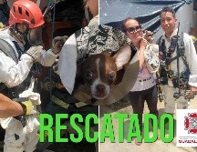 Elementos de Bomberos de Guadalajara lograron el rescate de un perro que había caído a un pozo. ESPECIAL / FACEBOOK Protección Civil y Bomberos de Guadalajara