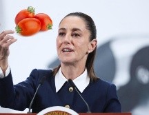 Dos de cada tres tomates que se consumen en Estados Unidos son cosechados en México, según Sheinbuam. EFE / Mario Guzmán