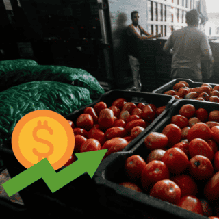 ¿Qué estados serían los más afectados por aranceles al jitomate mexicano?