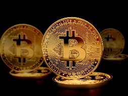 Bondi destacó que la cantidad de comisada en lo que va de este año ya alcanzó el nivel de todo 2024. UNSPLASH