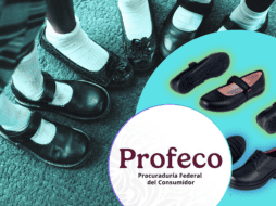 Cabe señalar que todos los zapatos considerados para el estudio se fabrican en México. ESPECIAL