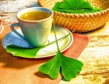 El árbol de ginkgo biloba fue un ingrediente destacado en la medicina tradicional china desde la antigüedad. ESPECIAL / CANVA