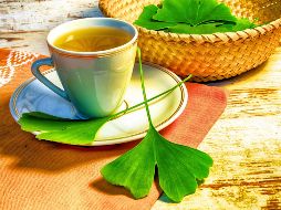 El árbol de ginkgo biloba fue un ingrediente destacado en la medicina tradicional china desde la antigüedad. ESPECIAL / CANVA