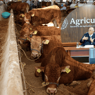 Berdegué revela avances con USDA sobre el tema del gusano barrenador