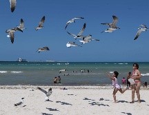 En la salada ciudad de Puerto Vallarta, se espera que la llovizna —gotas de 0.4 mm— cubra hasta el 50% de la región. EL INFORMADOR / ARCHIVO