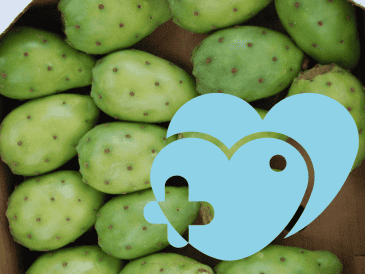 Según el Firco, esta fruta se ha utilizado para tratar dolencias dese hace mucho tiempo y hasta hoy en día. ARCHIVO/Notimex