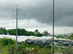 Así lucen las dos culebras de agua que se presentaron el día de hoy en la Ribera de Chapala. ESPECIAL / Protección Civil Jalisco