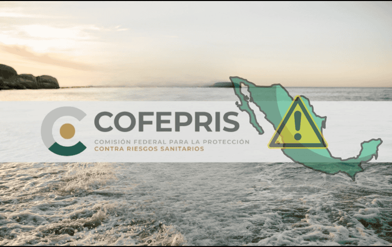 El contacto con aguas contaminadas puede provocar distintas afecciones, entre ellas infecciones en la piel, problemas gastrointestinales o trastornos respiratorios, derivados de microorganismos y desechos tóxicos. COFEPRIS