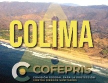 Cofepris lanza advertencia sobre esta playa de colima rumbo al periodo vacacional de verano. EL INFORMADOR / ARCHIVO