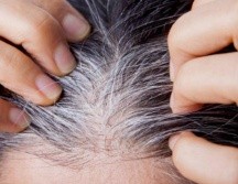 Las canas suelen ser más finas y frágiles, por lo que es esencial reforzar la hidratación del cabello. Pixabay