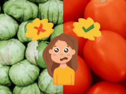 La confusión viene principalmente de regionalismos. GOBIERNO DE MÉXICO