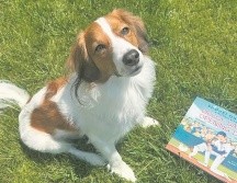 Decoy, la mascota del pelotero japonés, es el protagonista del libro. ESPECIAL