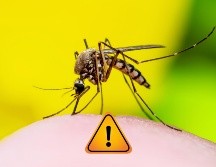 El dengue es una enfermedad grave que puede requerir hospitalización. ESPECIAL / CANVA