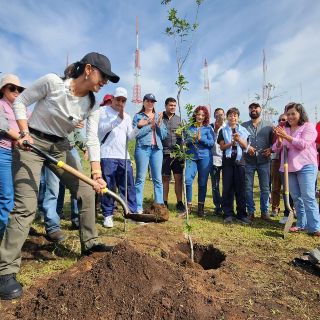 Tlaquepaque inicia campaña de reforestación