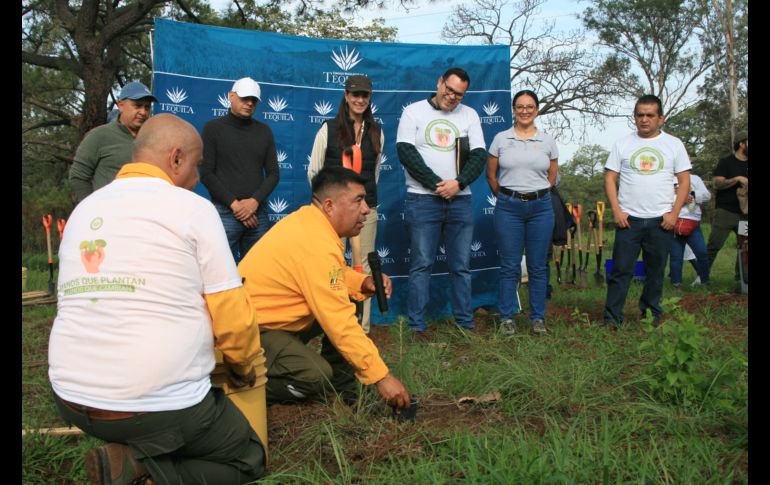 Para 2025, se contempla plantar más de 40 mil árboles en futuras jornadas. ESPECIAL