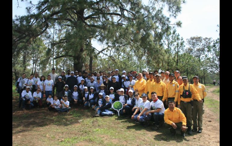 Para 2025, se contempla plantar más de 40 mil árboles en futuras jornadas. ESPECIAL