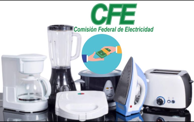 El trámite es totalmente gratuito. El tiempo de respuesta queda en un plazo máximo de 10 días hábiles. ESPECIAL / CANVA