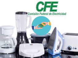 El trámite es totalmente gratuito. El tiempo de respuesta queda en un plazo máximo de 10 días hábiles. ESPECIAL / CANVA