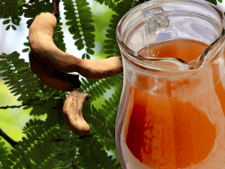 Las personas con problemas de reflujo ácido, gastritis o úlceras también deben moderar o evitar el consumo de tamarindo. ESPECIAL / CANVA