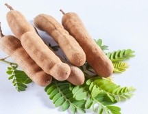 El tamarindo cuenta con propiedades nutricionales beneficiosas para la salud, ya que es fuente de antioxidantes, vitaminas y minerales. Pixabay