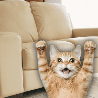 ¿Cómo evitar que el gato acabe con los muebles de casa?