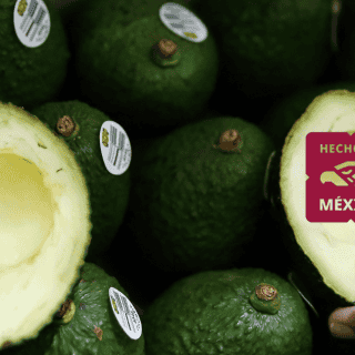 Productores de Michoacán y Jalisco podrán exportar aguacate Hass al mercado brasileño