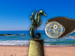 Puerto Vallarta sigue reportando playas contaminadas. EL INFORMADOR / O. Álvarez / ESPECIAL / CANVA