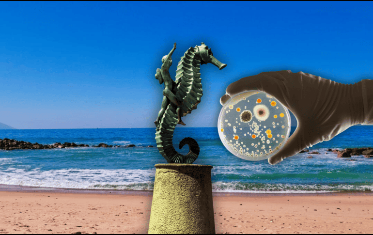 Puerto Vallarta sigue reportando playas contaminadas. EL INFORMADOR / O. Álvarez / ESPECIAL / CANVA