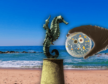 Puerto Vallarta sigue reportando playas contaminadas. EL INFORMADOR / O. Álvarez / ESPECIAL / CANVA