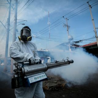 Jalisco logra controlar el dengue: casos se redujeron 92% en la última semana