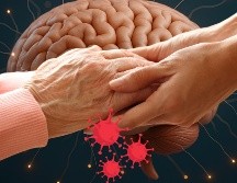 Los autores vieron, para el segundo escáner, que los cerebros de los participantes del grupo 