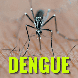 ¿Cuántos casos de dengue se han registrado en Jalisco en 2025?