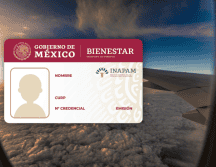 La tarjeta que brinda el Instituto Nacional de las Personas Adultas Mayores (Inapam) es uno de los apoyos dirigidos a personas de la tercera edad en México. ESPECIAL