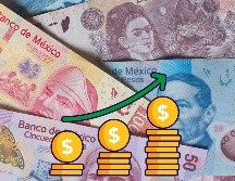 En el documento que dio a conocer este martes bajo el título 
