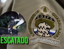 Elementos de Guardabosques lograron el rescate de un perro en la Barranca de Huentitán. ESPECIAL / X  @GuadalajaraGob / FACEBOOK / Policía de Guadalajara