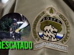 Elementos de Guardabosques lograron el rescate de un perro en la Barranca de Huentitán. ESPECIAL / X  @GuadalajaraGob / FACEBOOK / Policía de Guadalajara