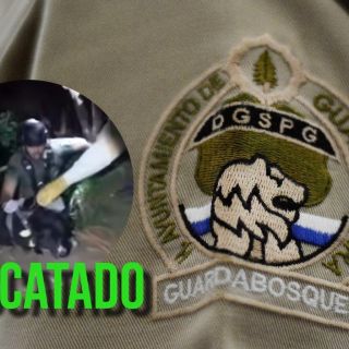 Guardabosques rescatan a perro atrapado en risco de la Barranca de Huentitán