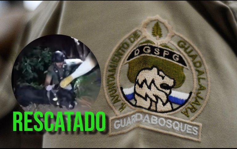 Elementos de Guardabosques lograron el rescate de un perro en la Barranca de Huentitán. ESPECIAL / X  @GuadalajaraGob / FACEBOOK / Policía de Guadalajara