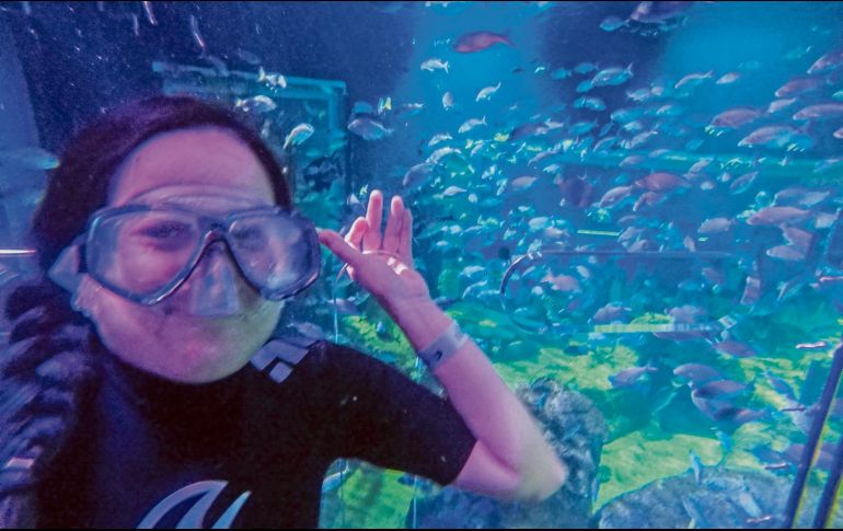 Durante el recorrido, el visitante puede sentirse perteneciente a este mundo marino. EL INFORMADOR