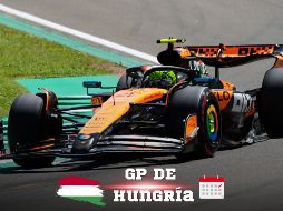 La F1 tendrá su decimocuarta competencia del año en el Gran Premio de Hungría. EFE / ARCHIVO