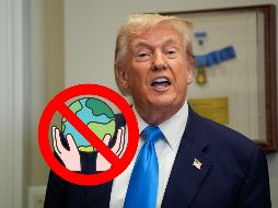 El presidente republicano ha sido hostil hacia la energía renovable: al intentar argumentar en contra de la energía eólica, ha recurrido a afirmaciones falsas y engañosas sobre el uso de este tipo de energía. EFE / ARCHIVO