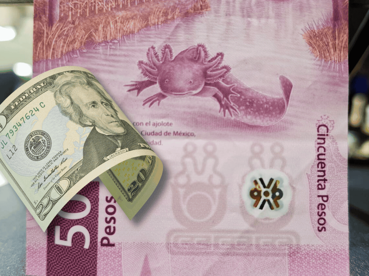 Así arranca la cotización del peso frente al dólar este 1 de agosto | El  Informador
