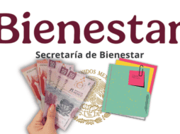 Estas convocatorias están dirigidas a sectores específicos como mujeres mayores, jóvenes sin empleo, familias que requieren apoyo educativo y personas que necesitan acceso a vivienda. ESPECIAL