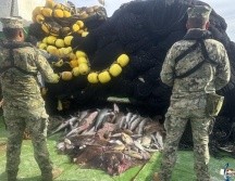 En diversos estados como Jalisco se efectuó ese decomiso como parte de los operativos de inspección y vigilancia. ESPECIAL/X @SEMAR_mx