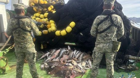 En diversos estados como Jalisco se efectuó ese decomiso como parte de los operativos de inspección y vigilancia. ESPECIAL/X @SEMAR_mx