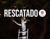 El gato fue regresado sano y salvo a los brazos de sus dueños. ESPECIAL / FACEBOOK Protección Civil y Bomberos GDL